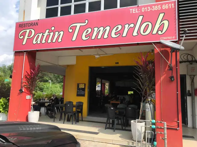 Restoran Patin Temerloh Food Photo 1