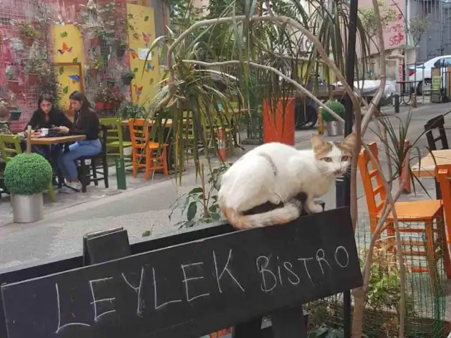 Leylek Cafe Bistro, Bahariye