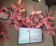 Sakura tei  Food Photo 1