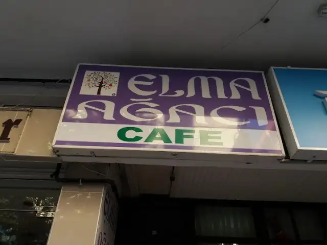 Elma ağacı cafe'nin yemek ve ambiyans fotoğrafları 1