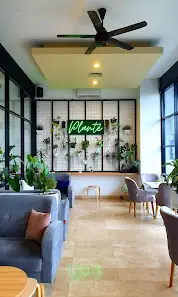 Plante Coffee and Plants