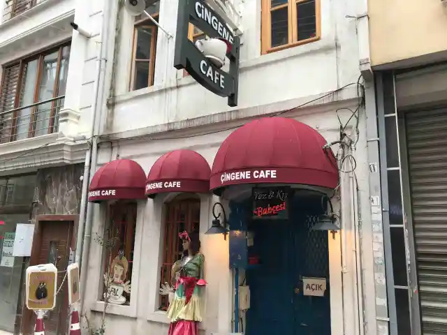 Çingene Cafe'nin yemek ve ambiyans fotoğrafları 1