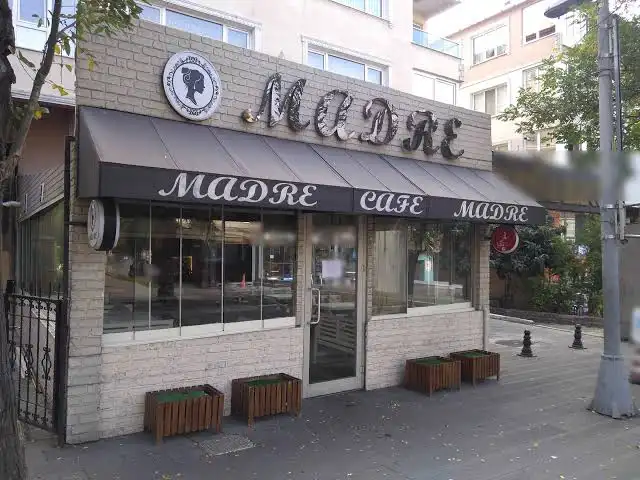 Madre Cafe'nin yemek ve ambiyans fotoğrafları 1
