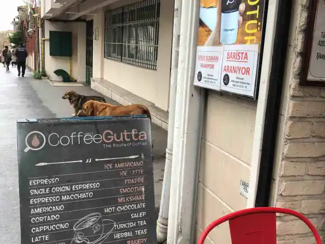 Coffee Gutta'nin yemek ve ambiyans fotoğrafları 8