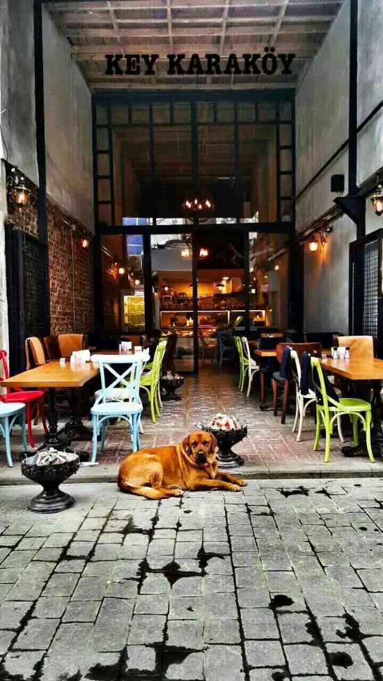Key Karaköy Cafe&Restaurant'nin yemek ve ambiyans fotoğrafları 16