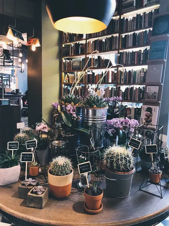Minoa Bookstore & Cafe'nin yemek ve ambiyans fotoğrafları 6