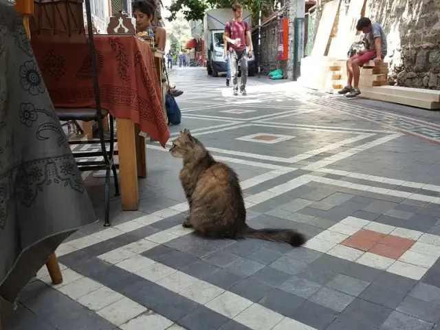 Kafe Sen'nin yemek ve ambiyans fotoğrafları 14