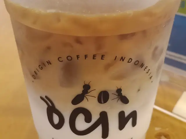 Ocin Fusion Cold Brew Latte