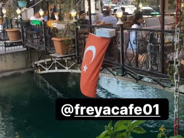 Freya Cafe'nin yemek ve ambiyans fotoğrafları 2