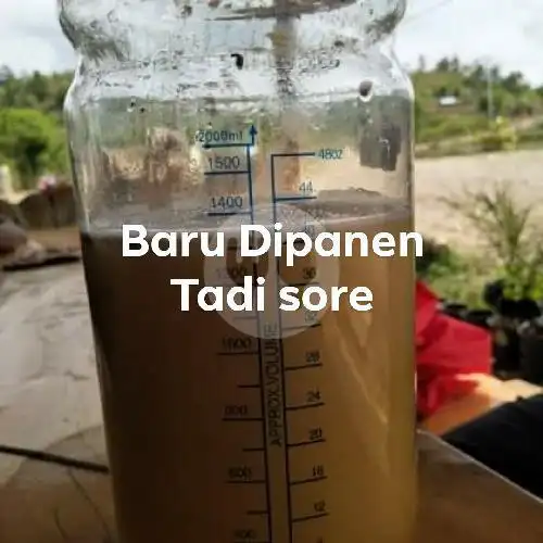 Gambar Makanan Madu Trigona, Ulee Kareng 1