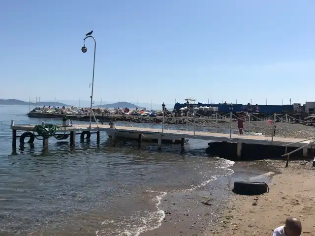 Marina beach cafe'nin yemek ve ambiyans fotoğrafları 2