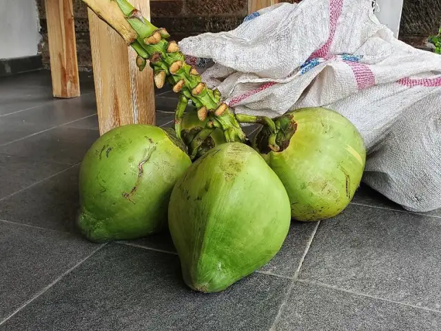Gambar Makanan Coconut Kitchen 4