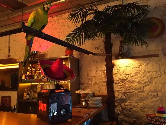 Escobar Mexican Cantina & Bar'nin yemek ve ambiyans fotoğrafları 39