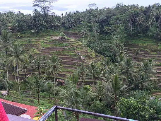 Gambar Makanan Rice Terrace Cafe 14