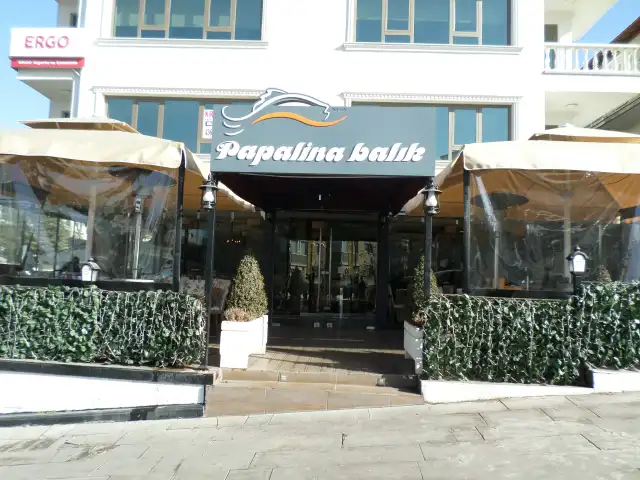 Papalina'nin yemek ve ambiyans fotoğrafları 3