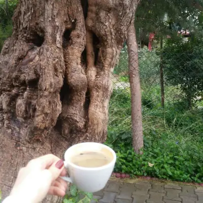 Teleferik Aile Çay Bahçesi