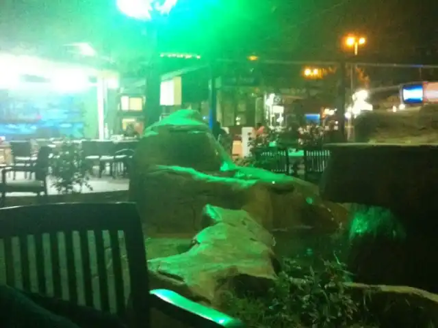 Şelale Cafe'nin yemek ve ambiyans fotoğrafları 4