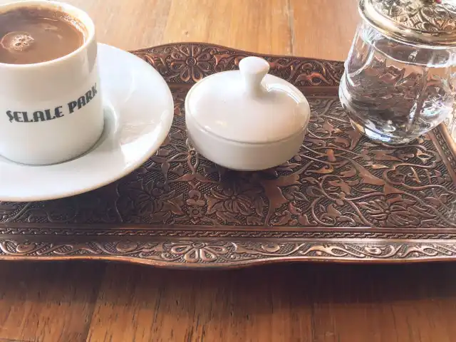 Şelale park cafe'nin yemek ve ambiyans fotoğrafları 35