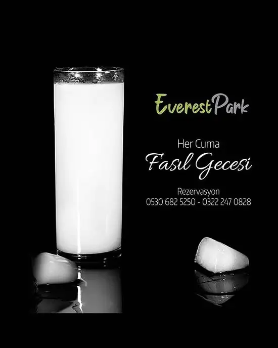 Everest Park Restaurant'nin yemek ve ambiyans fotoğrafları 13