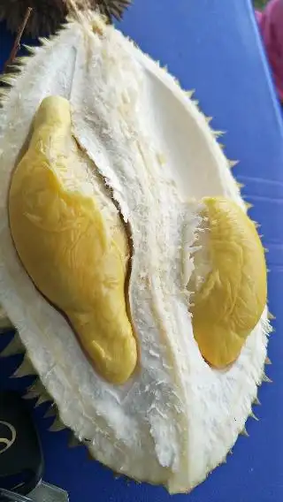 Durian Stall Alor Setar 218 Food Photo 3