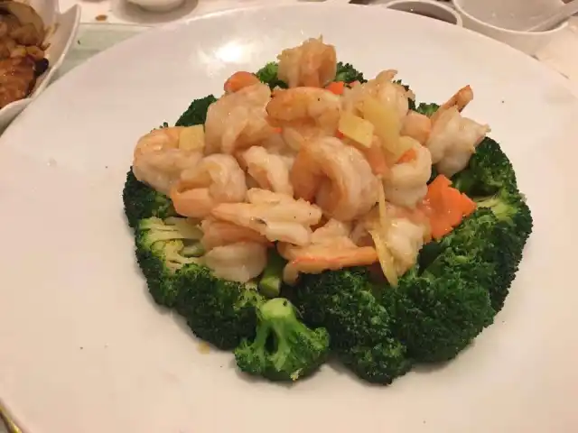 Xin Cuisine - Concorde Hotel Food Photo 18