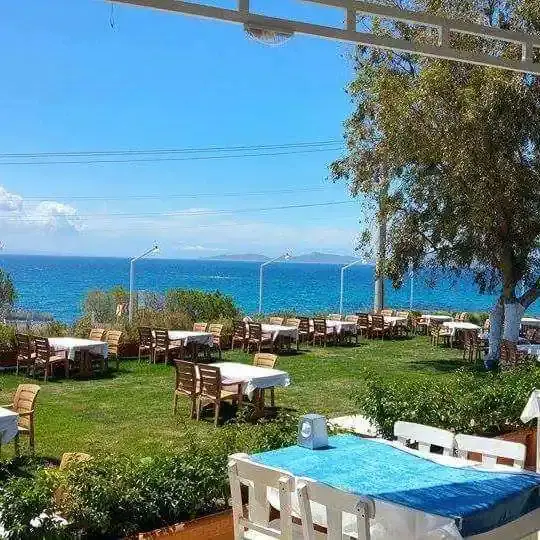 Cunda Balık Restaurant'nin yemek ve ambiyans fotoğrafları 4