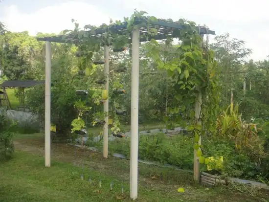 Gambar Makanan Warung Pulau Kelapa 2