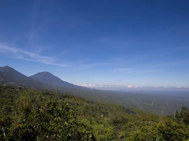 Gambar Makanan The View Munduk Restaurant 10