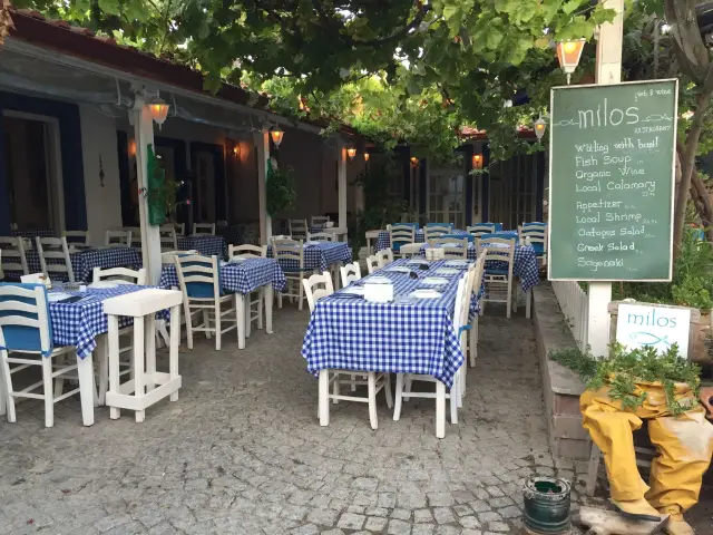 Milos Rum Meyhanesi'nin yemek ve ambiyans fotoğrafları 13