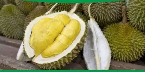 Rumah Ucok Durian Medan, Tomang Asli