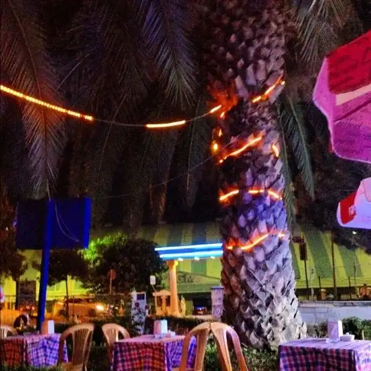 Palmiye Cafe'nin yemek ve ambiyans fotoğrafları 6