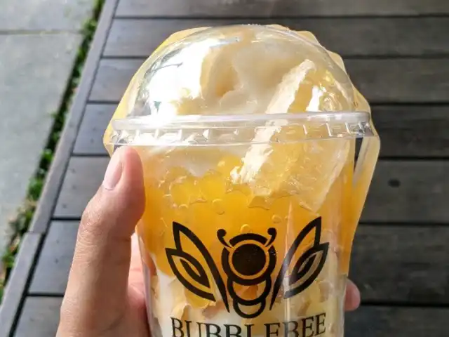 Bubblebee Food Photo 4