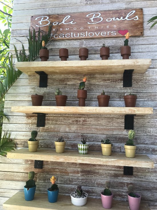 Bali Bowls & Smoothies Canggu terdekat Restoran dan Tempat Makan