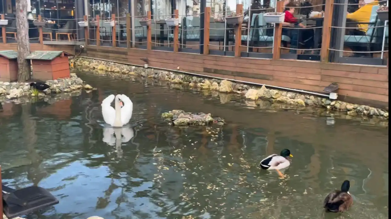 Park Of İstanbul Yöresel