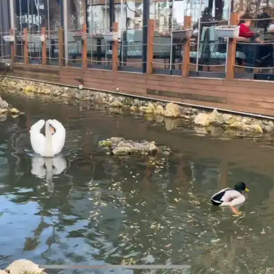 Park Of İstanbul Yöresel