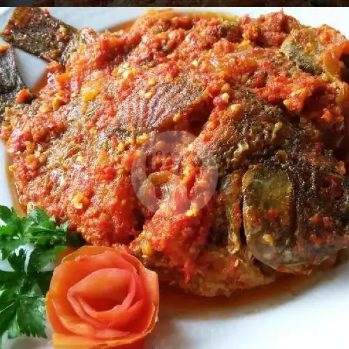 Gambar Makanan Ikan Laut Spesial Culinary Food ALa AL, Panakkukang,Tamamau,PondoDuri 13