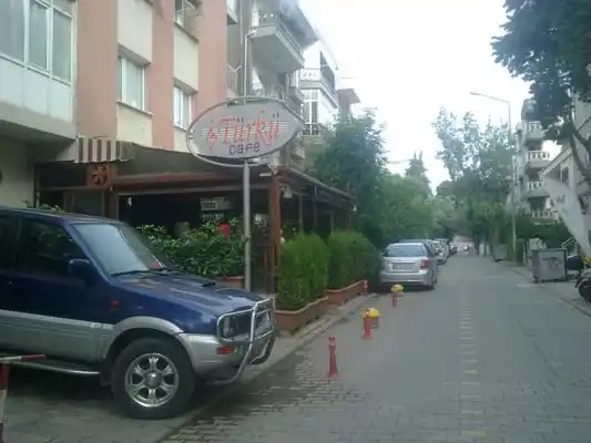 Türkü Cafe'nin yemek ve ambiyans fotoğrafları 2