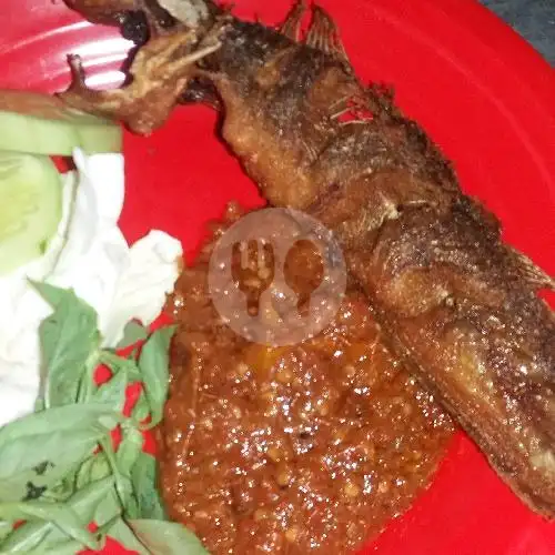 Gambar Makanan Pecel Lele @ Moroseneng Pak Paijo, Pondok Aren 3