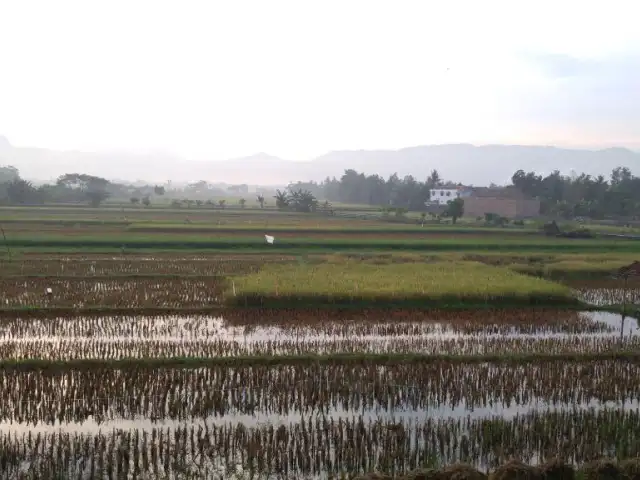 Gambar Makanan Kampoeng Pacitan 20