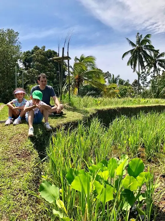 Gambar Makanan Cempaka Belimbing Villas 9