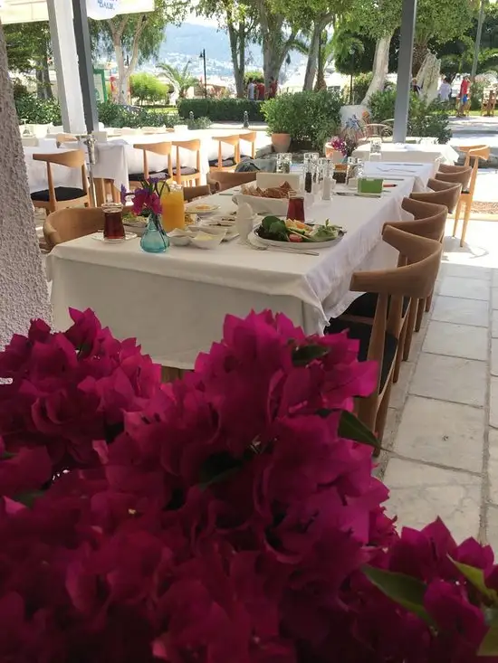 Moya Brasserie'nin yemek ve ambiyans fotoğrafları 9