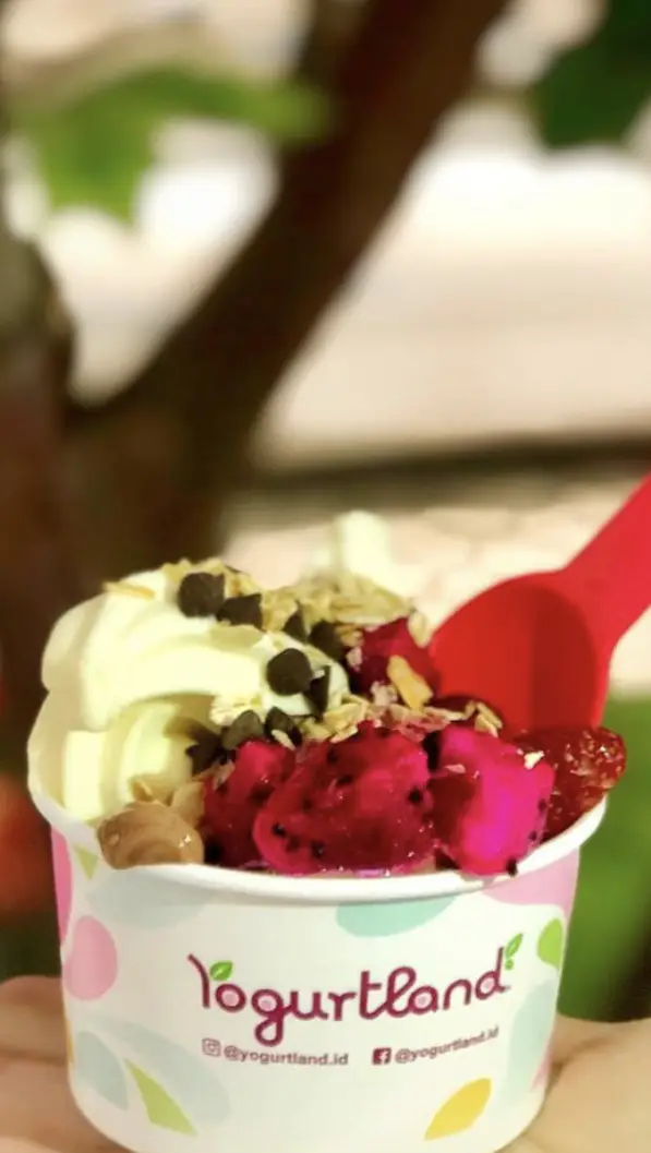 Gambar Makanan Yogurtland 6