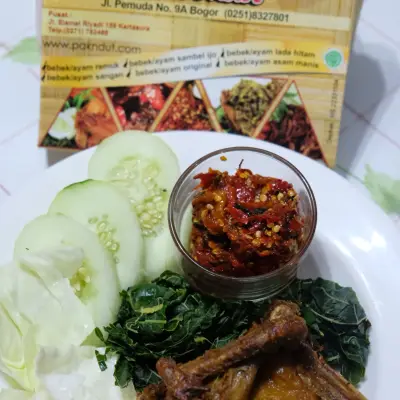 Bebek & Ayam Goreng Pak Ndut