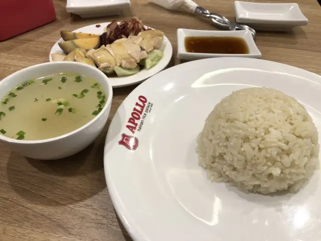 Gambar Makanan Apollo Hainanese Chicken Rice 5