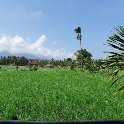 Warung Lesehan Mina Carik