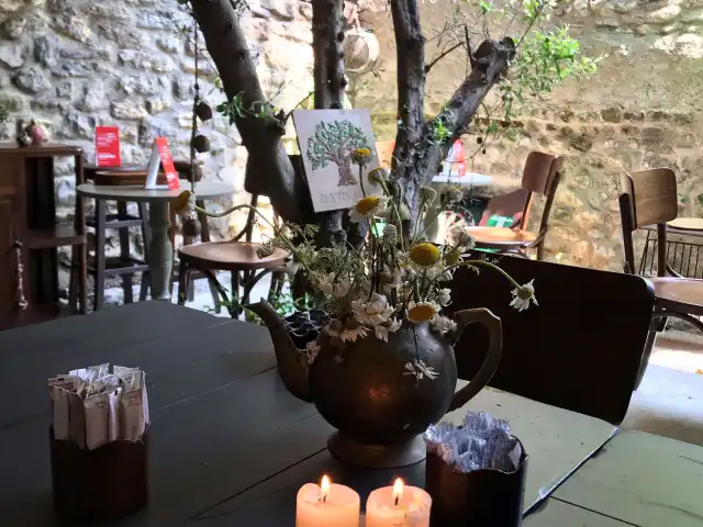 Zeytin Ağacı Cafe & Restaurant'nin yemek ve ambiyans fotoğrafları 65