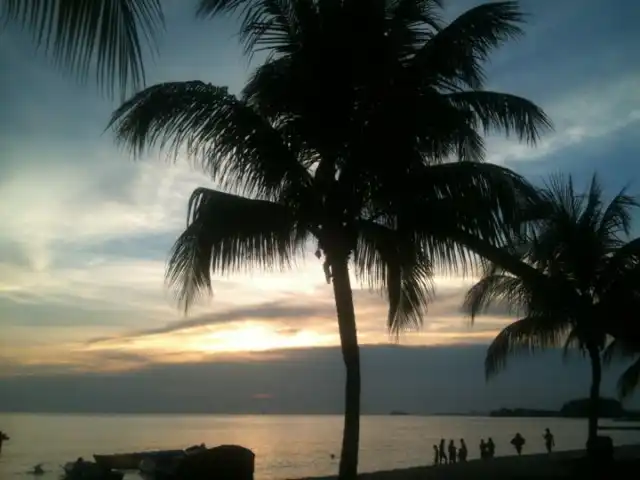 Coconut Grove Beach Restaurant Food Photo 2