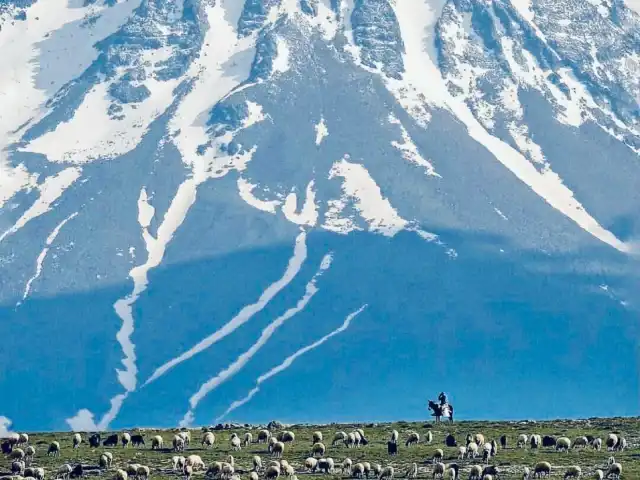 NAMLI KASAP'nin yemek ve ambiyans fotoğrafları 2