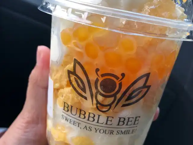 Bubblebee Food Photo 9
