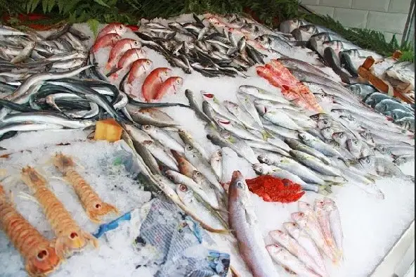 Sandal Balık'nin yemek ve ambiyans fotoğrafları 7
